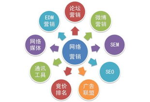 網(wǎng)絡(luò)營(yíng)銷與網(wǎng)絡(luò)推廣實(shí)操指南 從策劃到執(zhí)行的全流程解析
